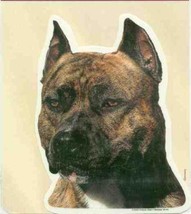 Car Window Decal PITBULL BRINDLE Dog Decal 2-sided...Reduced Price - $3.45