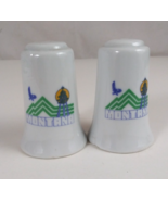 Vintage Montana Mountains &amp; Eagle Design Souvenir Salt &amp; Pepper Shakers - €10,09 EUR
