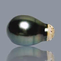 Alluring 16.9 Carat 12.2 x 18mm Peacock Black Green Tahitian Sea Big Pea... - $71.53