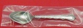 Rose Arbor by Reed and Barton Sterling Silver Teaspoon WS 6 1/8&quot; New - £38.77 GBP