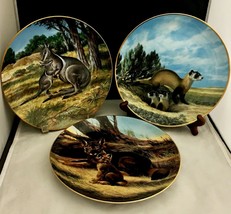 Wallaby, Ferret, wolf &amp; their cubs 3 decorative porcelain plates by  will nelson - £30.38 GBP