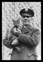 Tige the White House Cat - Safe and Sound - Art Print - £17.29 GBP+