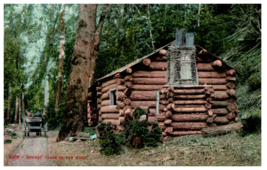 No. 1508 Cabin in the Wild CA Mitchell Postcard - £22.05 GBP