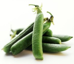 50 Sweet Pea Seeds Pisum Sativum Organic Heirloom - $76.68 MXN