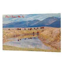 Postcard Don&#39;t Fence Me In Hereford Cattle Cows In Pasture Chrome Unposted - £5.54 GBP