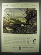 1955 Shell Oil Ad - Shell Nature Studies James Fisher No. 11 November in Wales - $18.49
