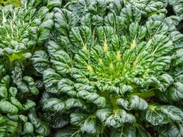 Item image 1 image 1