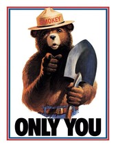 Only You Can Prevent Forest Fire Metal Tin Sign Smokey Bear Home Wall De... - £15.66 GBP