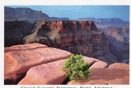 Grand Canyon National Park Unposted Postcard Arizona Vintage NRDC - £15.60 GBP