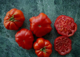 50 Seeds Grandmas Little Girl Tomato Juicy Tomatoe Vegetable Garden Fresh USA Sh - $9.40