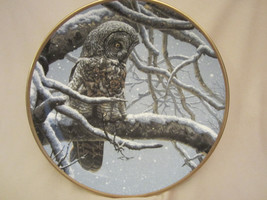 Snowy Watch Collector Plate Great Grey Owl Seerey-Lester Noble Owls Great Gray - £23.72 GBP