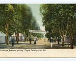 Catalina Avenue Postcard Santa Catalina Island California Canvas City  - £8.53 GBP