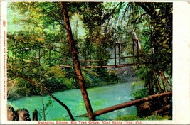 Vtg Postcard 1906 Swinging Bridge Big Tree Grove Santa Cruz, CA Undiv - £4.23 GBP