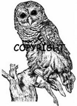 Barn Owl New Mounted Rubber Stamp - £5.68 GBP