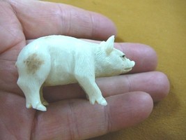 (pig-6) white Pig of shed ANTLER figurine Bali detailed carving love pig... - £53.08 GBP