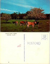 New York(NY) Cairo Greetings Cows Pasture Blossoming Tree &amp; Flowers VTG Postcard - £7.49 GBP