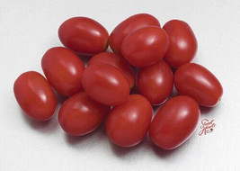 50 Seeds Princess Yum Yum Tomato Vegetable Garden Edible Canning Fresh Seeds - £7.83 GBP