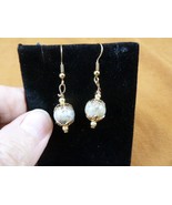 DP1-16s REAL DINOSAUR POOP 10mm bead dangle EARRINGS Utah ancient Dino C... - $23.20 CAD