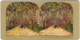 Stereo View Card Stereograph Under Live Oaks Of Florida Highway - £3.82 GBP