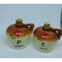 Vintage Ceramic Ozarks Tan &amp; Brown w/flowers Jugs Salt and Pepper Shakers - £3.51 GBP