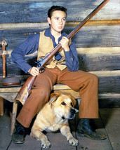 Old Yeller Featuring Tommy Kirk 16x20 Poster - £15.88 GBP