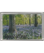Forest of Dean Magnet ~ Made in United Kingdom - $165.75 MXN