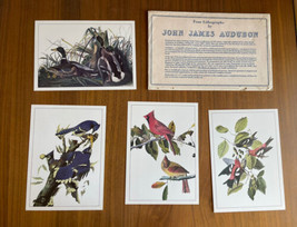 Four Lithographs By John James Audubon Blue Jay Cardinal Mallard And More - £11.84 GBP