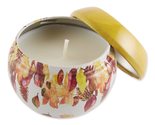 Via Mercato Autunno Home Frangrance Collection, Candle, 3.5 oz, Harvest ... - £7.79 GBP