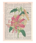 Art N Wordz Lily Flower Dictionary Page Pop Art Wall or Desk Art Print P... - €21,30 EUR