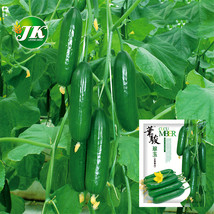 Jewel of the Netherlands – Thornless Cucumber Seeds - £7.86 GBP