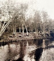 Topsham 9 Sisters And Oxford County Maine 1924 Gravure Print New England... - $369.97 MXN