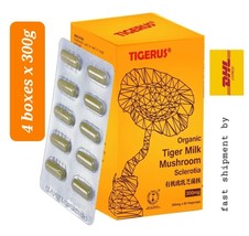 ORGANIC TIGERUS Tiger Milk Mushroom Sclerotia 4 boxes x300g- shipment by DHL Exp - £210.18 GBP
