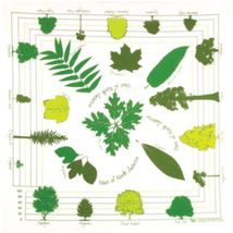 Printed Image Trees of North America Bandanna Sycamore Magnolia Oak Walnut - $11.61