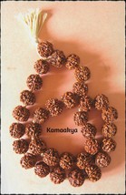 6 Mukhi Rudraksha Mala Surya Agni Siddha Mala 54+1 Collector Japa Beads - £36.28 GBP