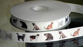 Cats Kittens Cat Breeds Grosgrain Ribbon  - $9.90
