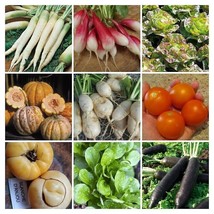 Garden vegetable package from France - SORTIMENT II - 9 variety 465+ seeds V 118 - £6.41 GBP