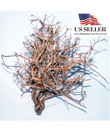 NATURAL DRIFTWOOD #BS001 WYSIWYG - AQUASCAPING, SUPER PRICE!!! BONSAI TR... - $81.32 CAD
