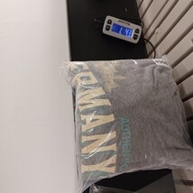 Safon Neuschwansten Germany 1869 Authentic Men's Gray Graphic Sweatshirt Size XL image 10