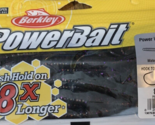 Berkley PowerBait PBBPW10-WPR 10&quot; Power Worm Watermelon Purple Red Fleck... - $18.69