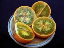 BPA Lulo Orange Tree Solanum Quitoense Organic  10 Seeds - $12.43 CAD