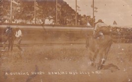 Bucking Burro Rawlins Wyoming WY July 4 1911 RPPC Real Photo Postcard D36 - £9.42 GBP