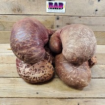 2 Pair Of Very Used Leather Lace-Up Boxing Gloves - £39.52 GBP