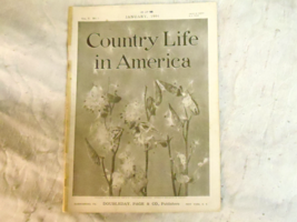 Country Life in America Magazine   January 1904 - £42.75 GBP