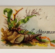 Antique Victorian c1890s Nautical Sea Shell Business Card 3.25 x 1.75 - £28.75 GBP