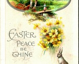 Easter Peace Be Thine Bunnies Rabbits Flowers Spring Meadow DB Postcard E3 - £6.95 GBP