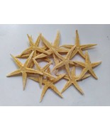 Dried Starfish Natural Color - Wedding Decoration - Crafting - Wreaths  - $279.00 MXN