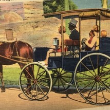 Horse Drawn Carriage Rides Tour St. Augustine Florida Vintage Postcard S... - £7.86 GBP