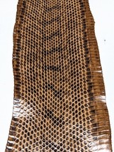 Unbleached Elaphe Snake Skin Leather Snakeskin Craft Supply Glossy Golde... - $351.96 MXN+