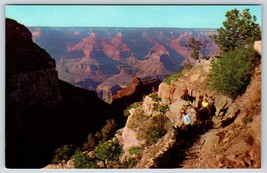 Postcard Grand Canyon National Park Arizona On Bright Angel Trail Fred Harvey - £3.96 GBP