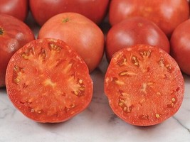 PPA 50 Seeds Rebekah Allen Tomato Tomatoe Vegetable Garden Edible Canning - £3.76 GBP